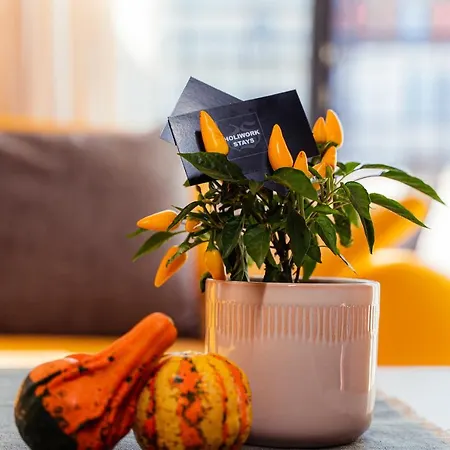 Pumpkin Spiced With Own Parking And Office Setup Apartment Sofia